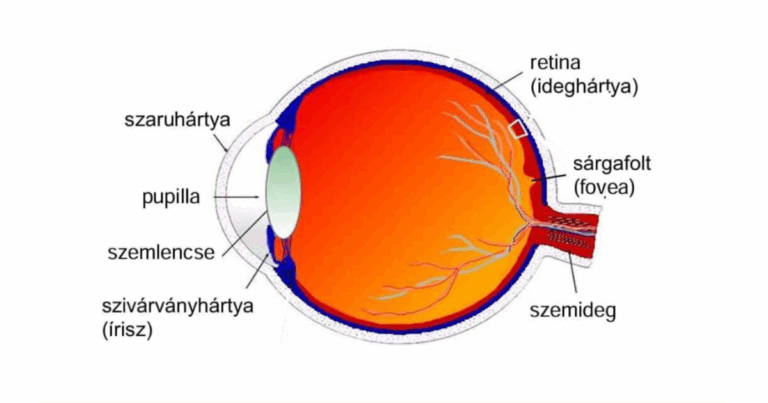 AD_4nXfBaNqJl1fmFtjVpH_UhgiZWZElUTLlEM8BAhVUm2gkCRDBkcEcgHvsjavqd-4zgwI58eWCZlHzZWYHSj4QXug7_6RZ1QG17LQ_OanYmHpyX5yUJqCsxTFipd7YcOs1e2xfjYMJkA-768x403